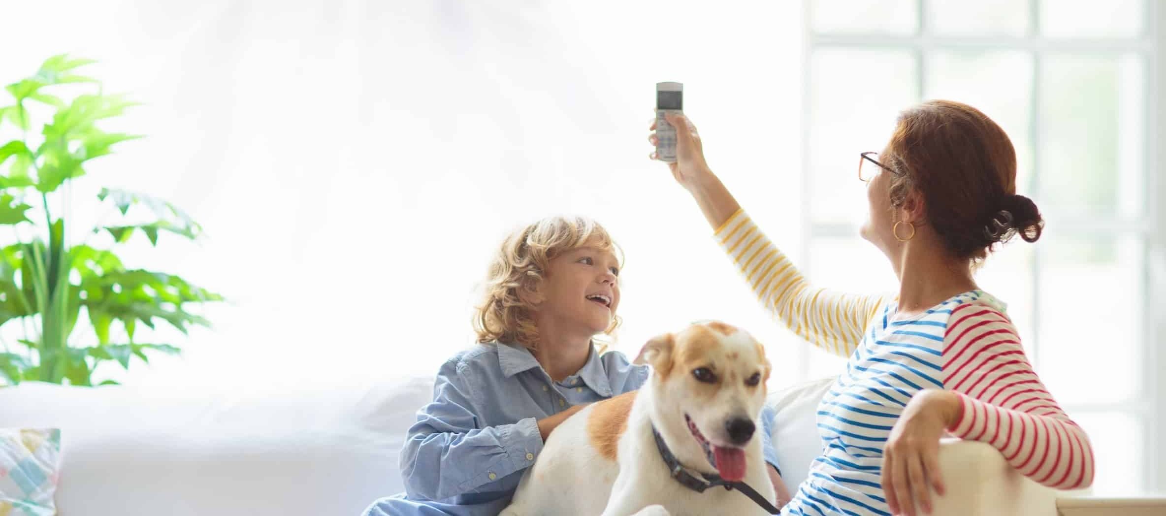 Mini Splits vs Ducted Heat Pumps: Choosing the Right HVAC Upgrade for Your Home