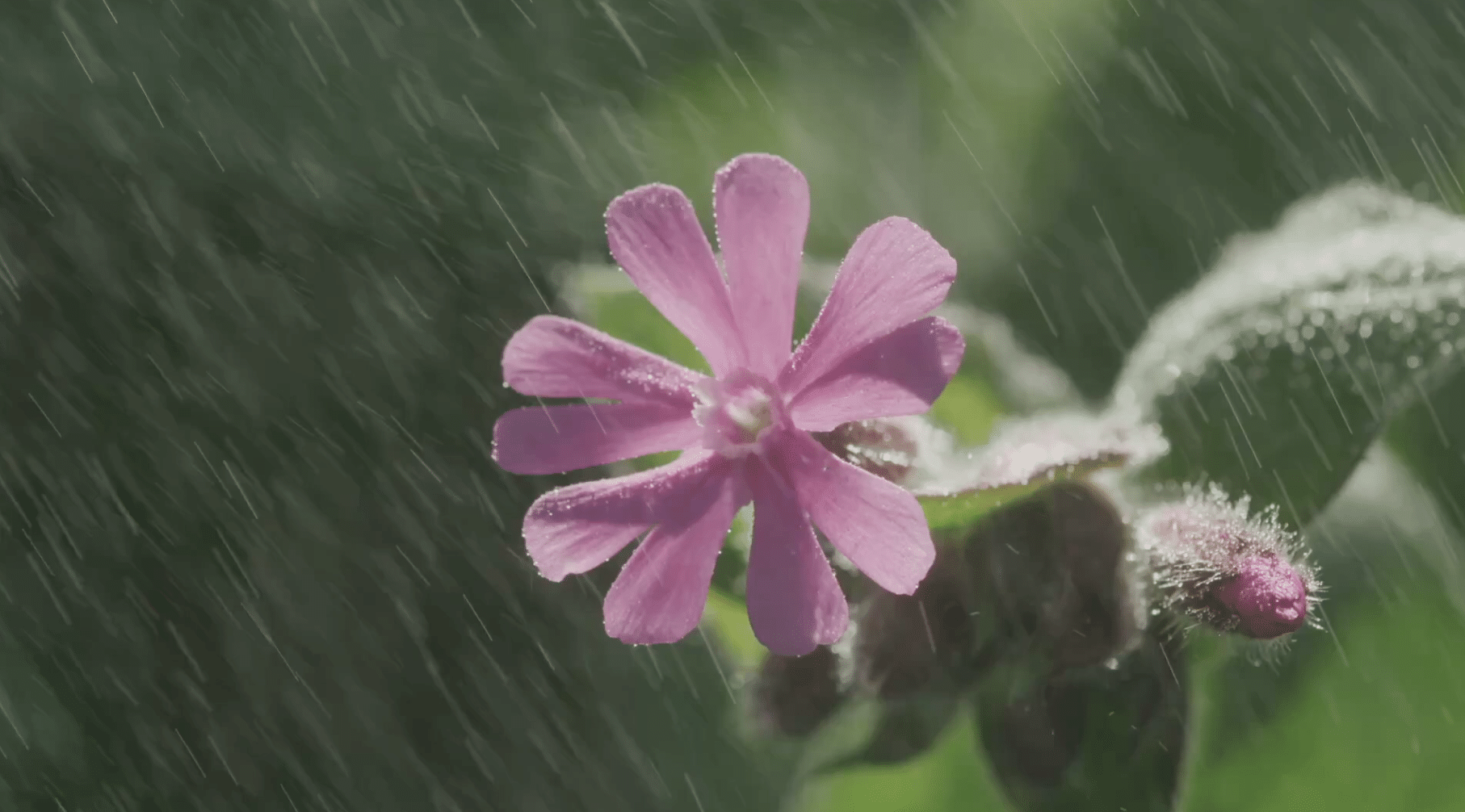 Why Homes Often Feel Damp or Musty in Spring